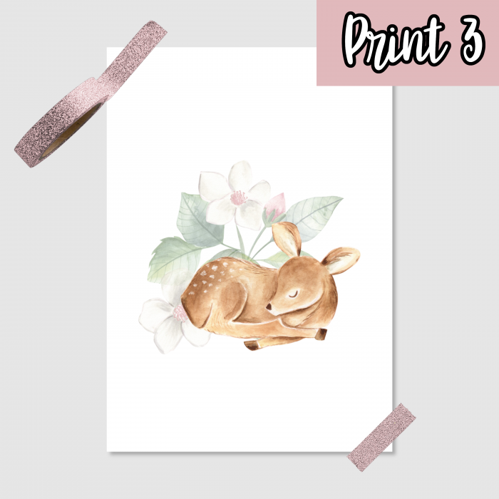 Baby Rehe Poster